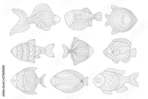 Tropical Fish Set Adult Zentangle Coloring Book Illustration