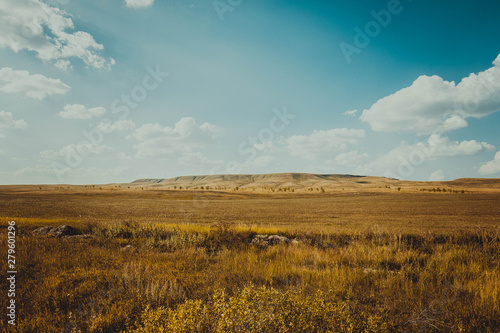 landscape with wheat field and blue sky