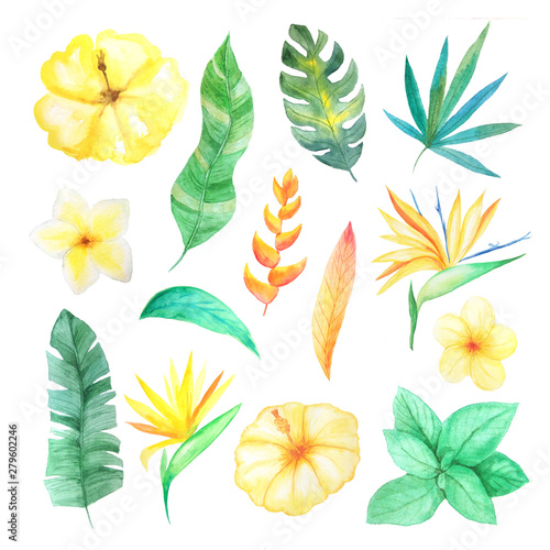 Watercolor tropical flowers  leaves and plants