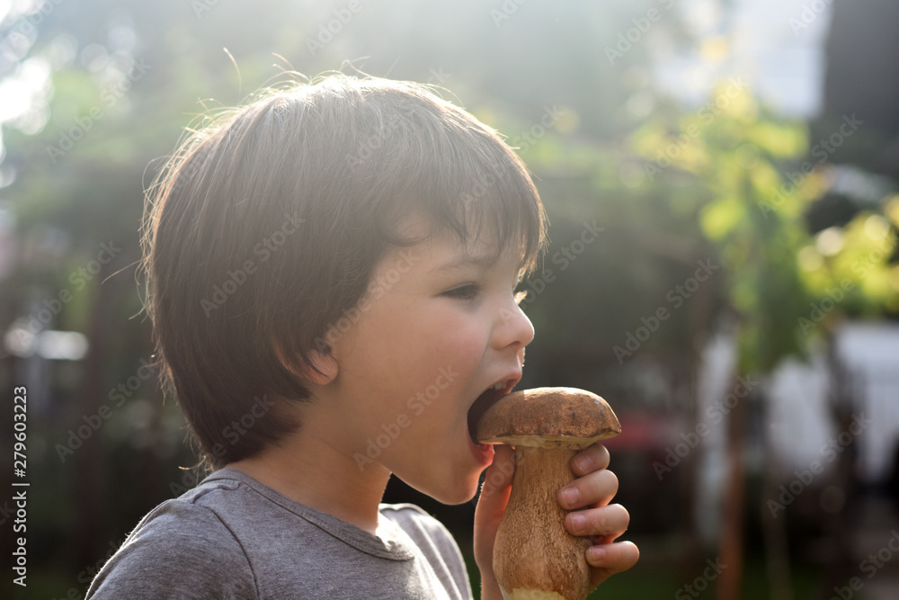Fresh porcini mushroom in child hand. Happy boy hold big cep mushroom Fresh porcini mushroom in child hand. Happy boy hold big cep mushroom