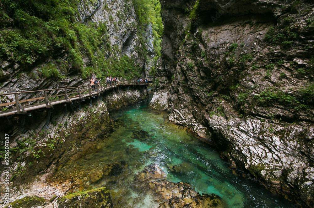 Scorcio della Gola di Vintgar nel parco nazionale del Tricorno in Slovenia Scorcio della Gola di Vintgar nel parco nazionale del Tricorno in Slovenia