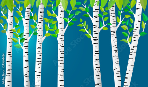 Birch grove background for your design.