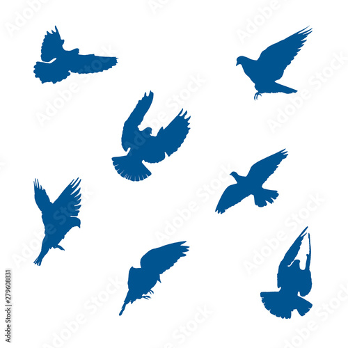 Set of vector illustrations of pigeons