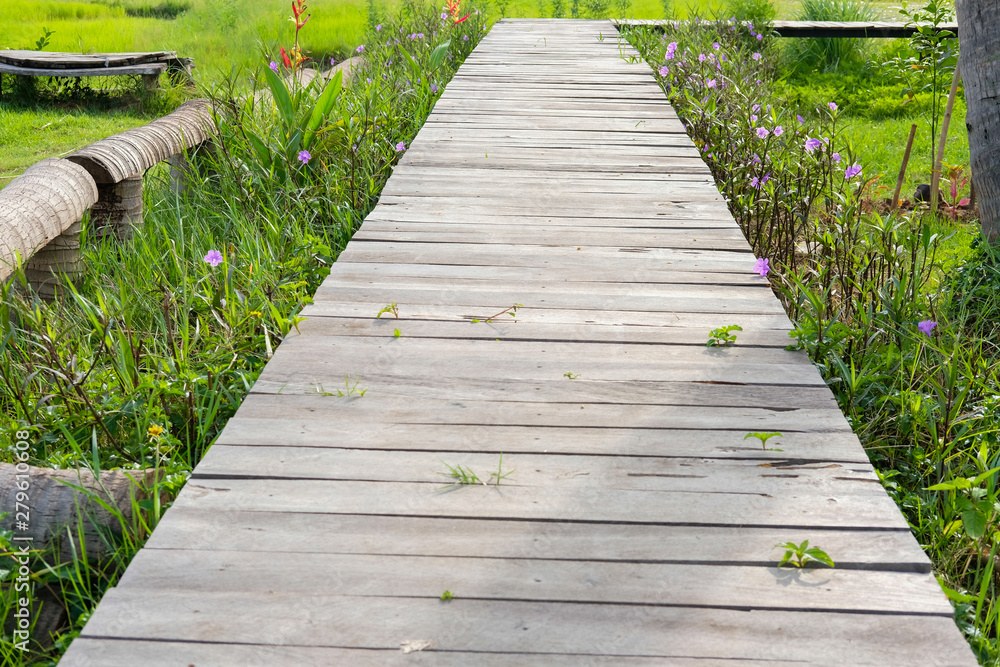 Obraz premium wooden bridge footbridge walkway pathway along flower field
