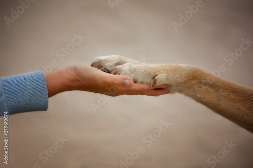 Freundschaft