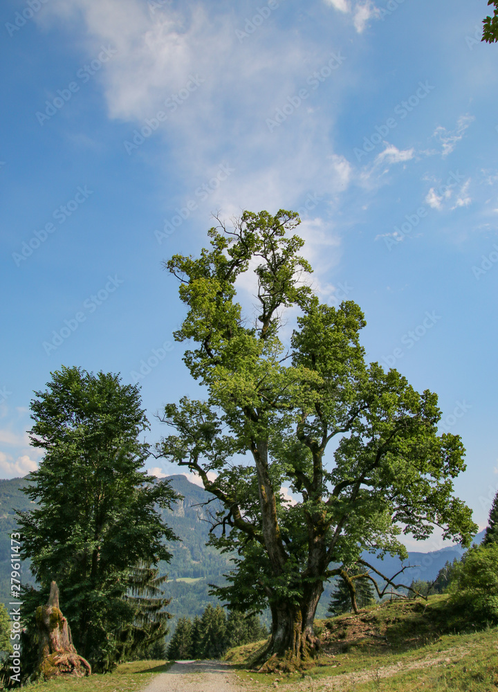 Obraz premium Breitenberghütte