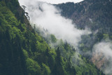 Forest in mist, low clouds Austrian alps