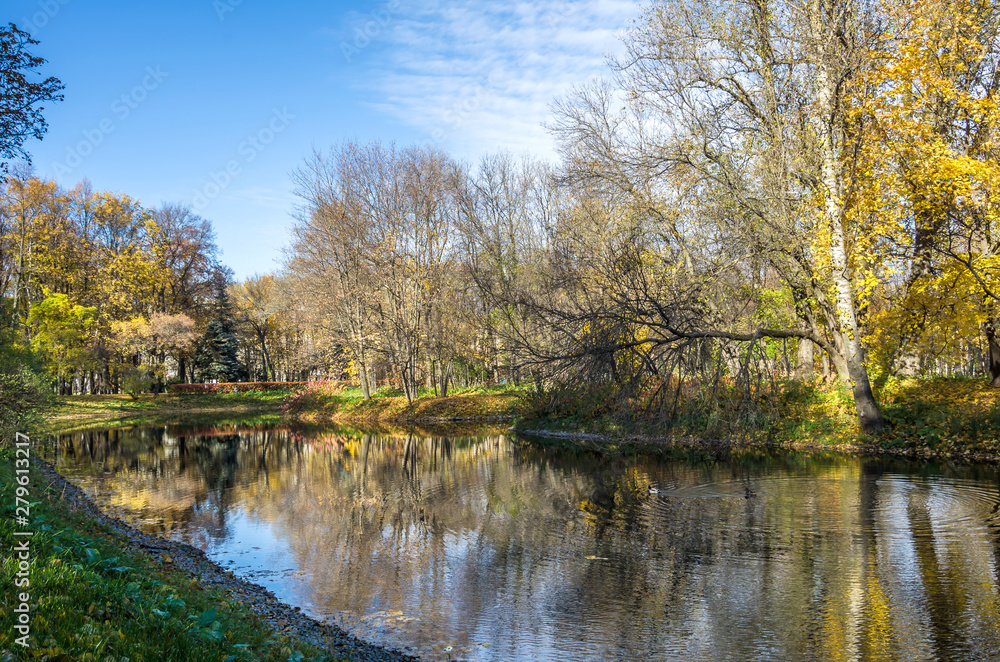 Golden autumn trees on a sunny day in city park