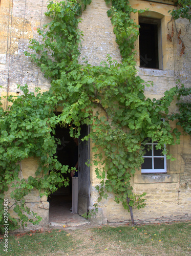 vigne grimpante sur maison en pierres ancienne