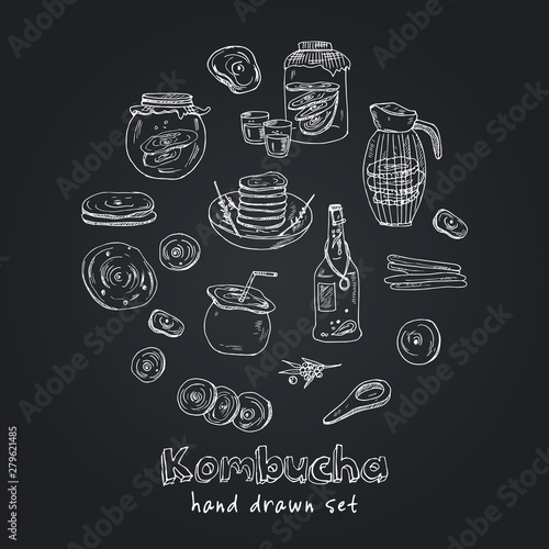 Kombucha homemade tea collection. Vector hand drawn illustration