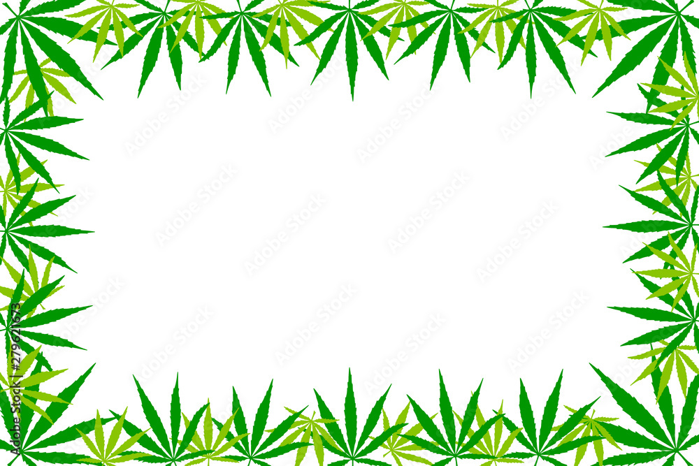 Frame of hemp leaves. Flat illustration, mock up, copy space. Frame of hemp leaves. Flat illustration, mock up, copy space.