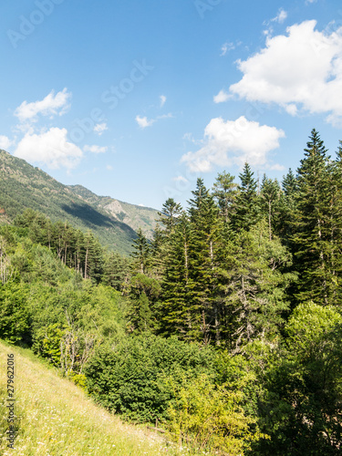 Panoramic of the Aiguestortes and Sant Maurici National Park, road of the Pond of Sant Maurici, in the province of Lleida, Catalonia, Spain