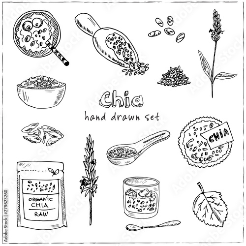 Chia hand drawn doodle set. Vector illustration. Isolated elements. Symbol collection.