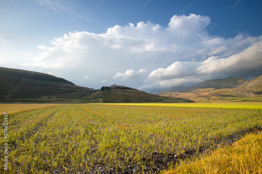 Natural landscape of the plain of Castelluccio di Norcia. Apennines, Umbria, Italy