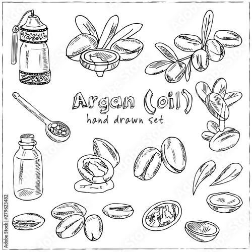 Vector set on Argan, its fruits and its application. Argan oil hand drawn doodle set. Vector illustration. Isolated elements. Symbol collection.