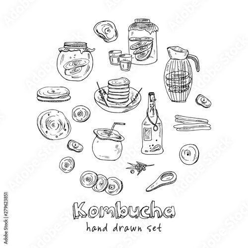 Kombucha homemade tea collection. Vector hand drawn illustration
