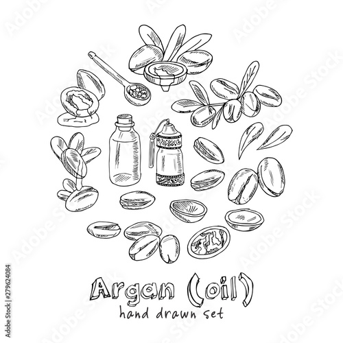 Vector set on Argan, its fruits and its application. Argan oil hand drawn doodle set. Vector illustration. Isolated elements. Symbol collection.