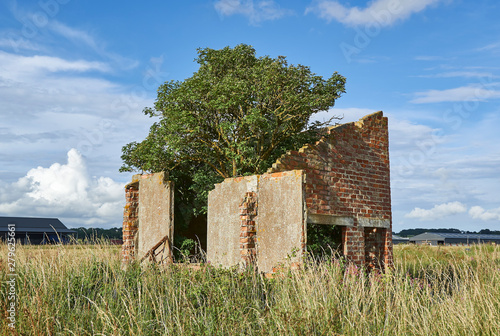 A tree growing out of the ruins of an old abandoned wartime Airfield building sited at RAF Kinnell in Angus, Scotland. photo