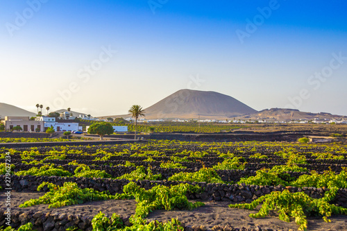 Lanzarote La Geria