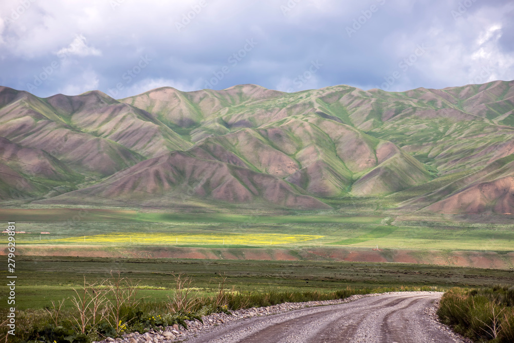 Gravel road between flowering fields and picturesque mountain ranges on the horizon. Kyrgyzstan Naryn region.