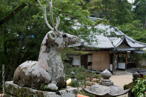a visit to a Japanese shrine