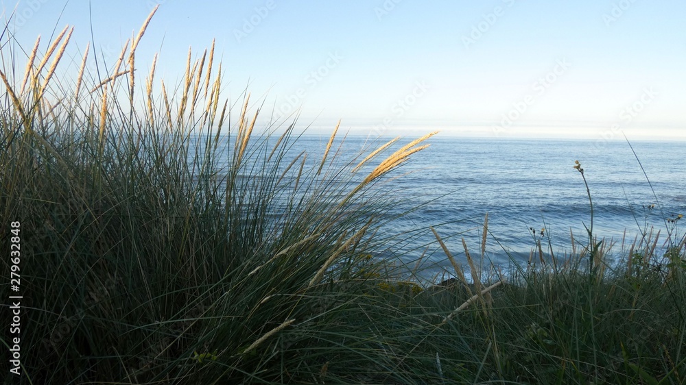 Sand Dunes on the Cliff at the End of the Day