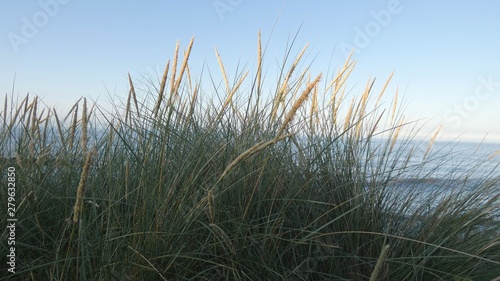 Sand Dunes on the Cliff at the End of the Day 2