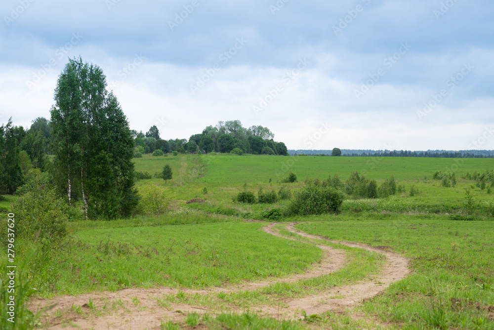 Rural summertime landscape, green foliage and country road