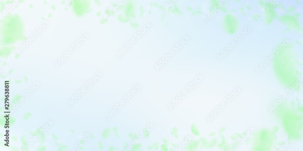 Green flower petals falling down. Valuable romanti Green flower petals falling down. Valuable romanti