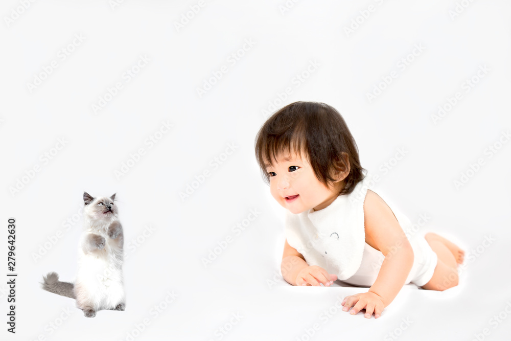 白背景前でハイハイしながら子猫と遊ぶ女の子の赤ちゃん 幸せ 愛情 赤ちゃん 育児イメージ Stock Photo Adobe Stock 白背景前でハイハイしながら子猫と遊ぶ女の子の赤ちゃん 幸せ 愛情 赤ちゃん 育児イメージ Stock Photo Adobe Stock