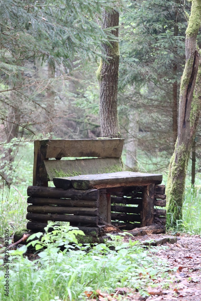 bench in the forest bench in the forest