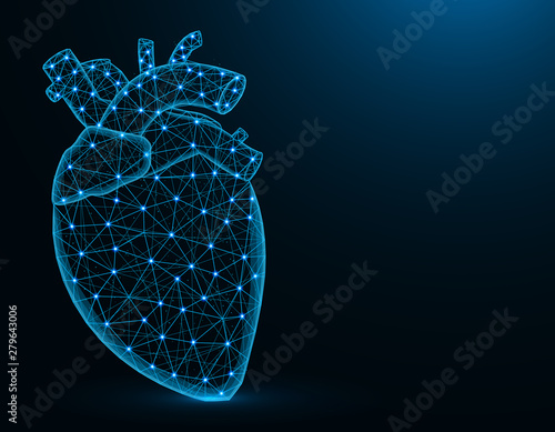 Heart with aorta and veins low poly model, human organs abstract graphics, anatomy polygonal wireframe vector illustration on dark blue background