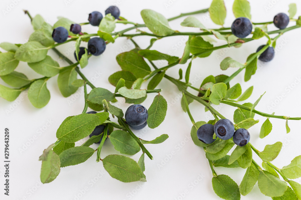 Forest blueberries with green leaves on a white background. Forest blueberries with green leaves on a white background.