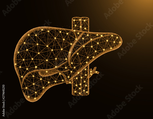 Liver with artery and veins low poly model, human organs abstract graphics, anatomy polygonal wireframe vector illustration on dark yellow background