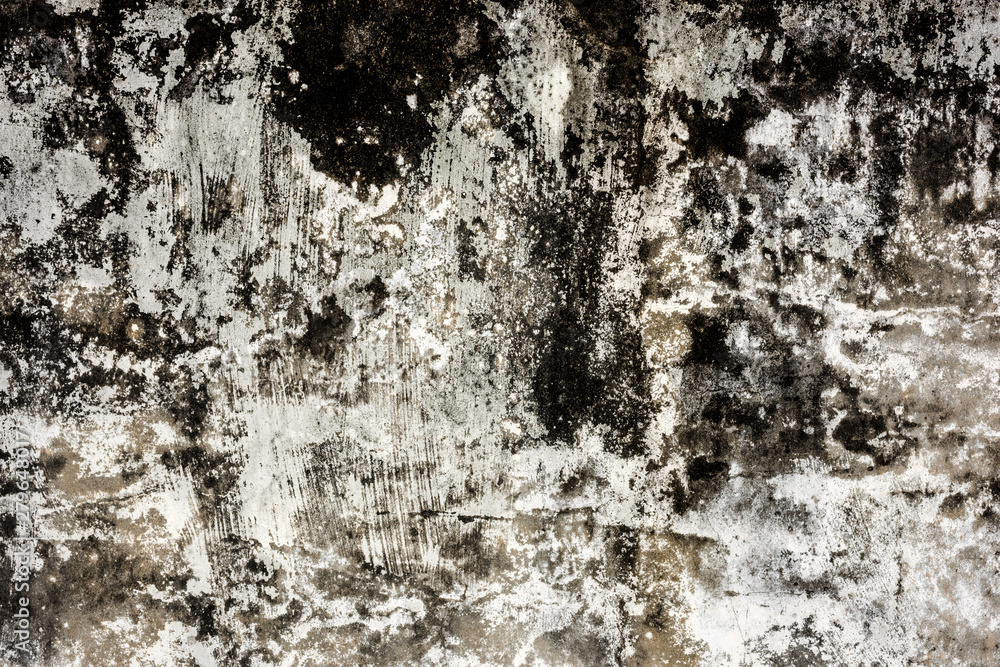 Obraz premium mildewed wall background