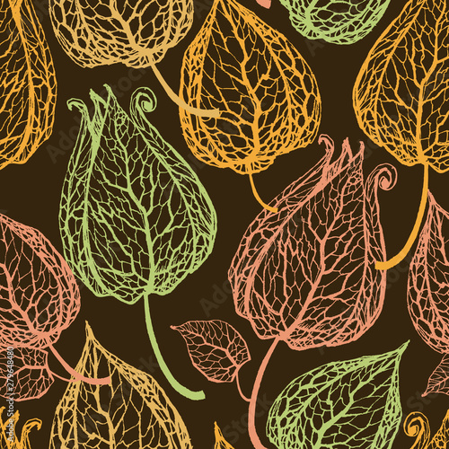 Chinese lantern gooseberry or physalis seamless pattern