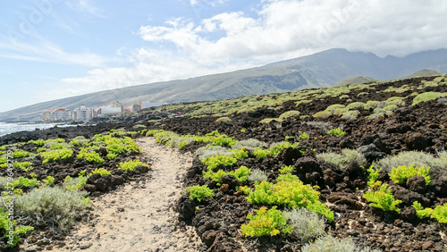 Wanderung durch vulkanische Landschaften, Teneriffa