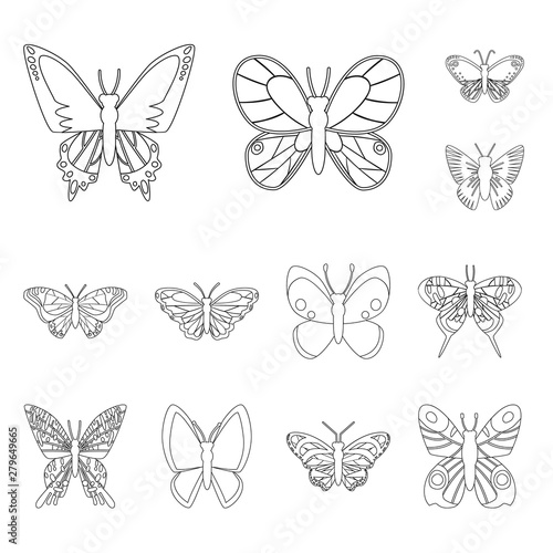 Vector design of fly and decorative icon. Set of fly and insect vector icon for stock. © Svitlana
