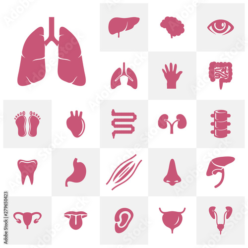 Set of Organs logo concept vector template. Internal Organs Related Vector Line Icons. Contains such Icons as Human anatomy. Editable Stroke.
