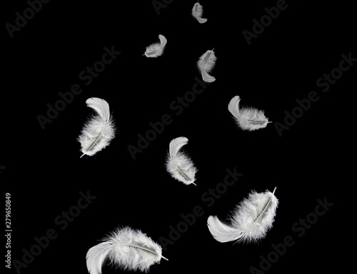 solf white feathers falling down in the air. black background