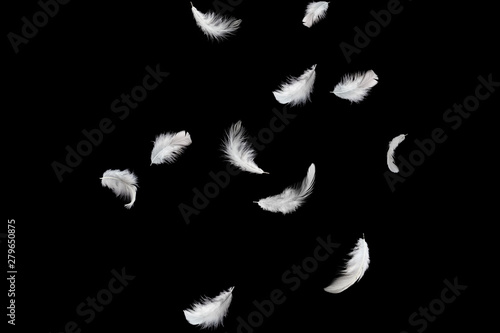 solf white feathers falling down in the air. black background