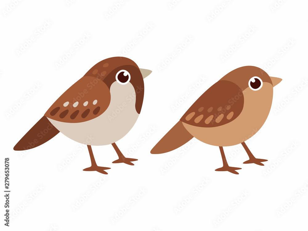 Male and female sparrows Male and female sparrows