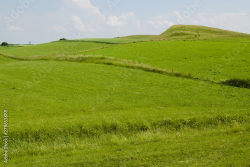 Fototapeta Naklejka Na Ścianę i Meble -  Mazury-Warmian meadows