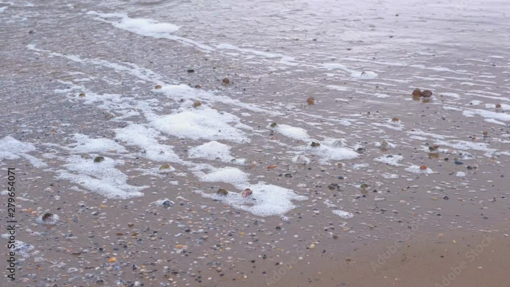 Strong sea waves on the sandy shore. Shells of rapan on the sand Strong sea waves on the sandy shore. Shells of rapan on the sand