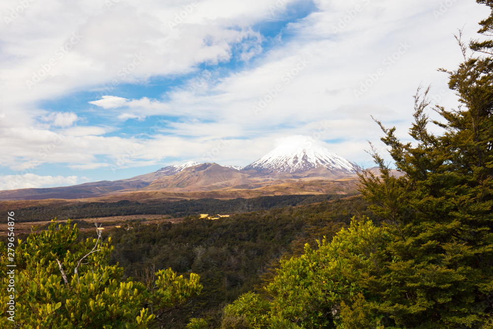 Mt Ngauruhoe Landscape Mt Ngauruhoe Landscape