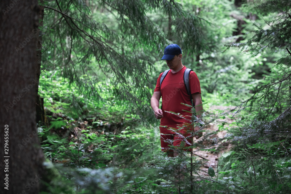 man hiker walking by forest trail. summer time