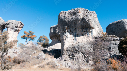 Fotografía Natural place formed by vegetation and rocks with shapes caused by erosion