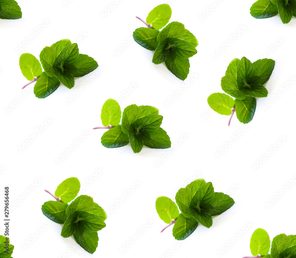 Pattern of herbs, green mint on white background - obrazy, fototapety, plakaty 
