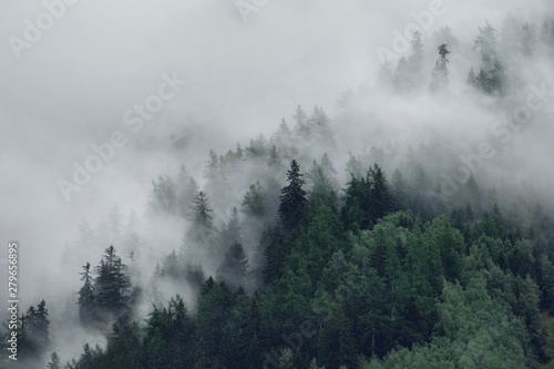 View of foggy mountains. Trees in morning fog © Andrii Vergeles