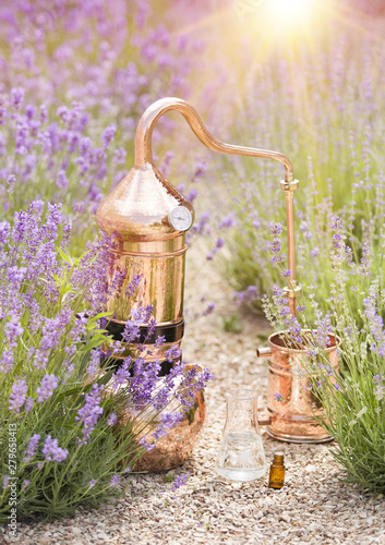 Foto Distilling apparatus alembic with esential oil between of lavender field lines